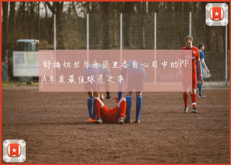 舒梅切尔与永贝里各自心目中的PFA年度最佳球员之争
