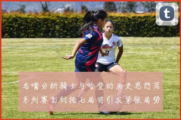 名嘴分析骑士与哈登的历史恩怨若系列赛打到抢七局将引发紧张局势